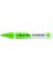 Ecoline Brush Pen Fırça Uçlu Kalem 601 Light Green 1