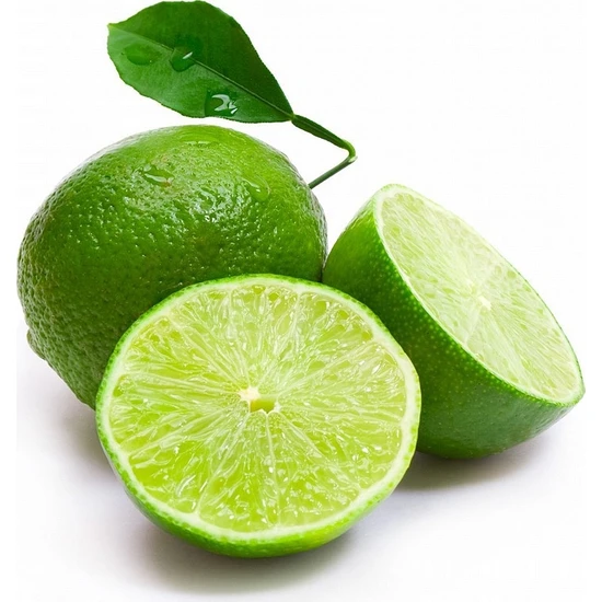 Berke Fidancılık Tahiti Lime-Çekirdeksiz Limon-Yeşil Limon (Sınırlı Stok)