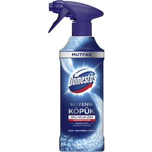 Hijyenik Köpük Sprey Mutfak Okyanus Ferahlığı 450 ml
