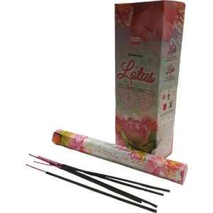 Lotus Tütsü