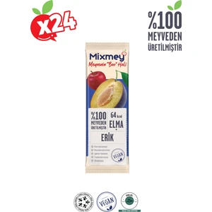 Erik Meyve Barı 24 Adet | Sağlıklı Atıştırmalıklar – Vegan, Glutensiz, Koruyucusuz (20GR X 24 ADET)
