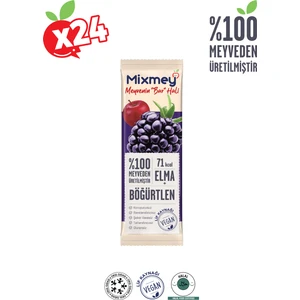 Böğürtlen Meyve Bar 24 Adet | Glutensiz, Vegan Sağlıklı Atıştırmalık - 20gr X 24 Adet