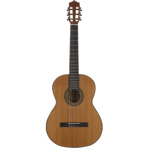 MARTINEZ MC-10C Klasik Gitar Akustik Performans İçin Ahşap Yapı