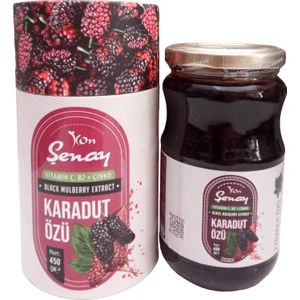 Karadut Özü 450 gr