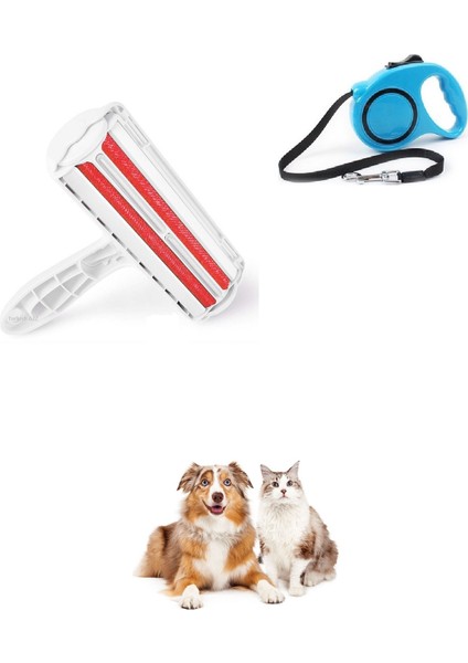 2li Set Hazneli Kedi Köpek Tüy Temizleyici Kıl Toz Toplayıcı Gırgır ve Makaralı Otomatik Köpek Tasması 3 Metre (4 Renk) Gezdirme Tasması