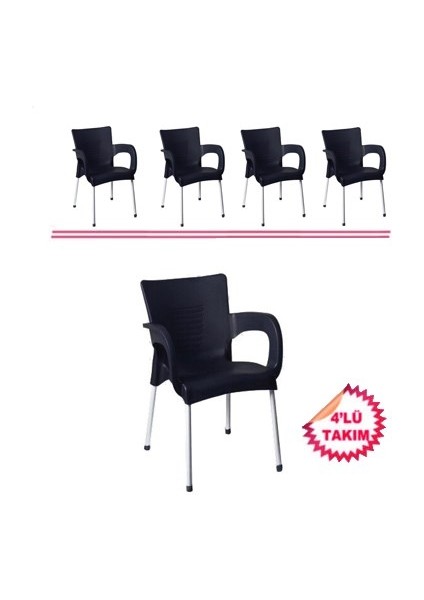 Netaks Ayder (Uğur) Sandalye Ekonomik Ürün 4'lü Takım Bahçe Balkon