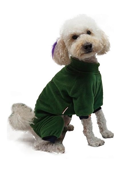 Yeşil Smile Kadife Küçük Irk Köpek Tulumu fiyatları