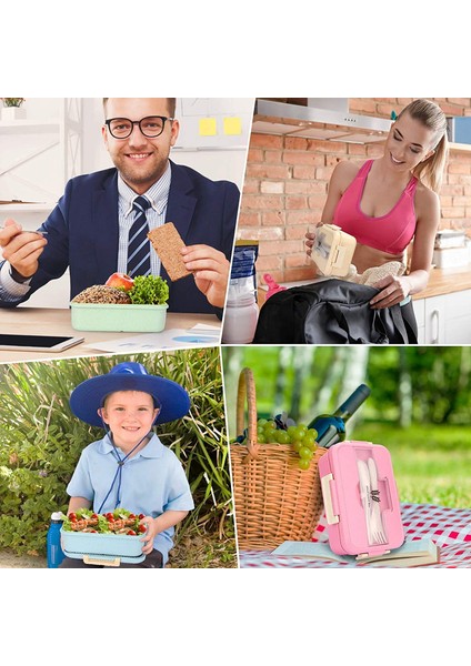 Bölmeli Beslenme Kutusu (Yurt Dışından) indirimleri