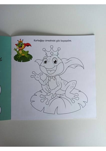 Boyama Kitabı 2-4 Yaş Seti (3 Kitap)