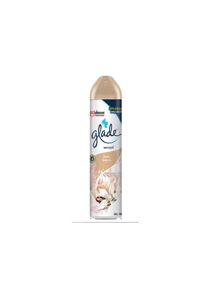 Aerosol Ipeksi Vanilya 300 ml