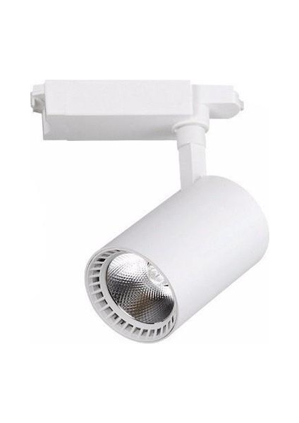 30W Beyaz Kasa 3000K Ray Spot
