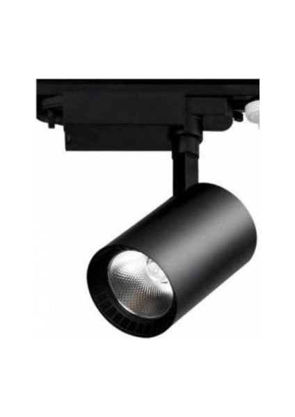30W Siyah Kasa 3000K Ray Spot