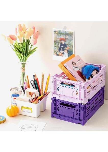 Aykasa 261710 Minibox Violet Katlanabilir Kasa indirimleri