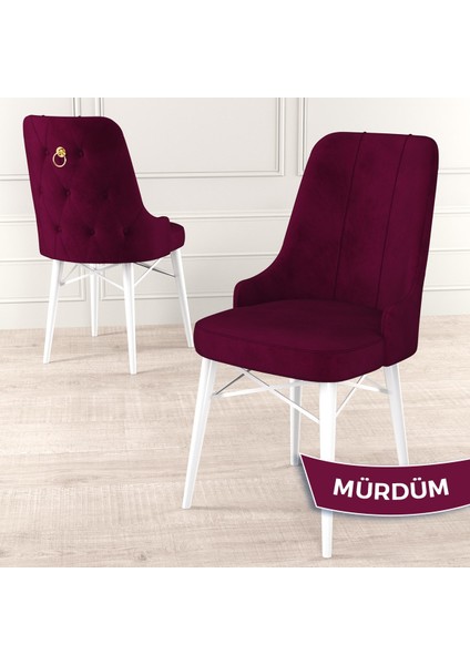 Concept Are Serisi, Mdf 80X132 Açılabilir Beyaz Mutfak Masa Takımı, 4 Sandalye Gold Halkalı fırsatları