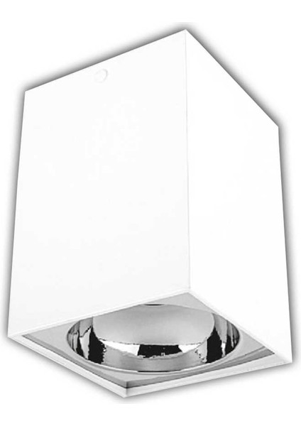 Kare Beyaz ve Platin Çelik Kasa GU10 Duylu Sıva Üstü Dekoratif Armatür ( Ct - 5420 )