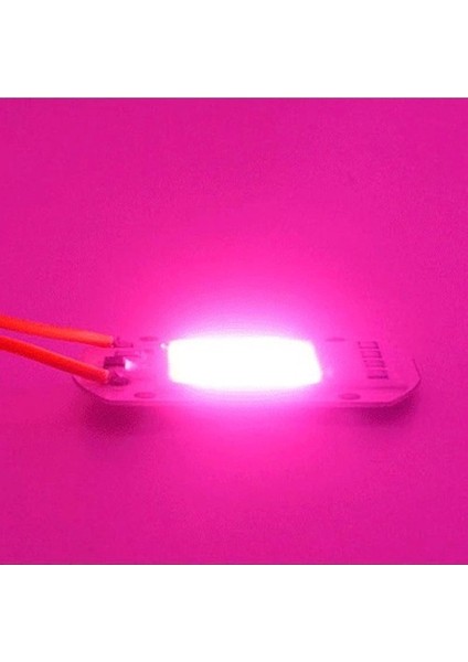 LED Pembe Işık Tam Spektrum LED Çip Bitki Büyütme Işık 220V50 W