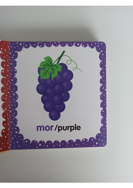 1 Yaş Sesli Kitap Setim