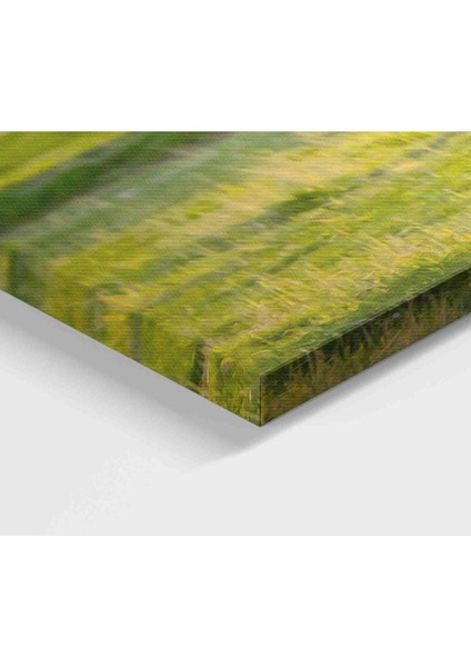 At ve Tay Manzaralı Dekoratif Kanvas Tablo 1173 modelleri