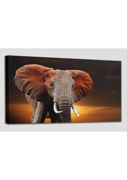 Fil Dekoratif Kanvas Tablo 1167 fiyatları