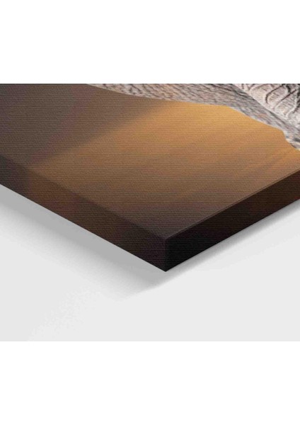 Fil Dekoratif Kanvas Tablo 1167 modelleri