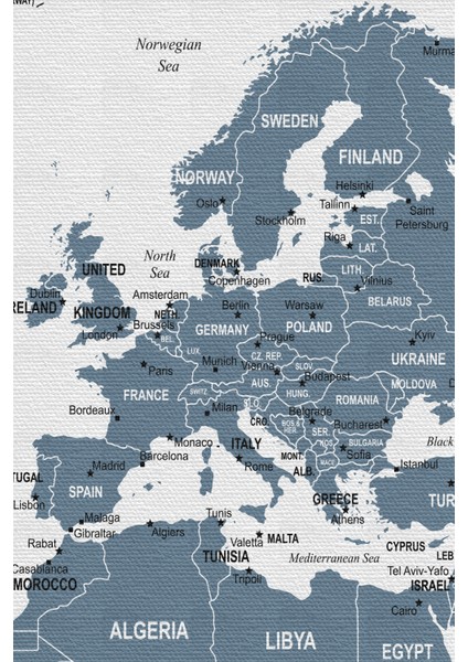 Dünya Haritası Dekoratif Kanvas Tablo 1062
