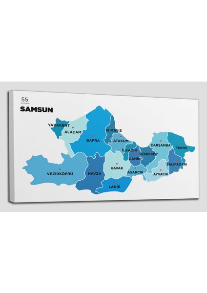 Samsun Ili ve Ilçeler Haritası Dekoratif Kanvas Tablo 1447