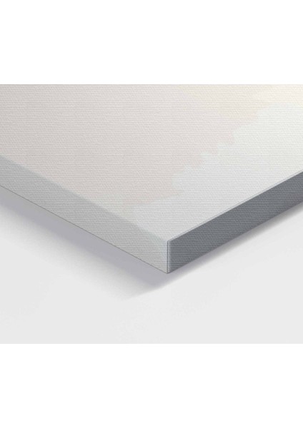 Türkçe Dünya Haritası Kanvas Tablo Ülke Başkentli ve Okyanus Detaylı Dekoratif Tablo 2764 fırsatları