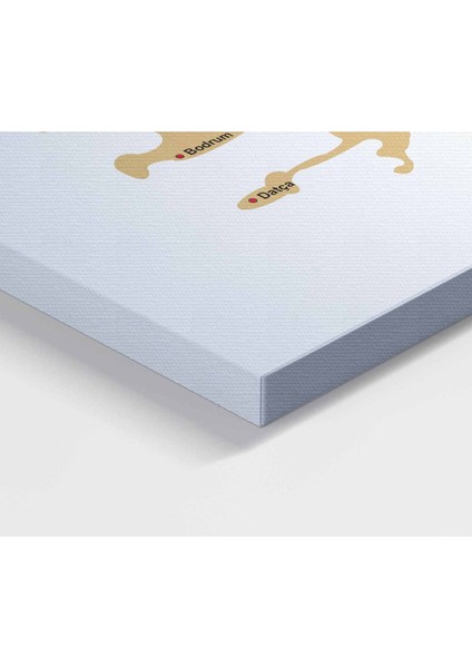 Türkiye Haritası Kanvas Tablo Il ve Ilçeli Ayrıntılı Eğitici-Öğretici Dekoratif Tablo 3048 fırsatları