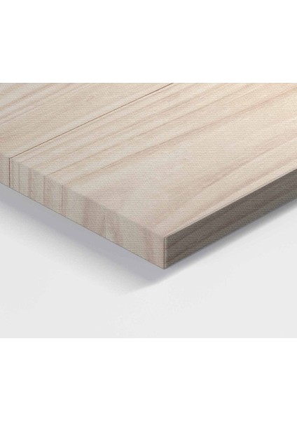 Ahşap Görünümlü Türkçe Dünya Haritası Son Derece Ayrıntılı Eğitici ve Dekoratif Kanvas Tablo 2991 fırsatları