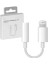 Apple Lıghtnıng To 3.5mm Headphone Jack Adapter 2