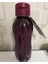 Su Şışesı 750 ml Mürdüm Ekonomik 2