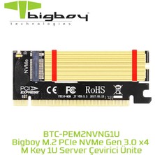 Bigboy BTC-PEM2NVNG1U Pcıe 3 X4 M2 X4 M Key 1 U Server Çeviricisi