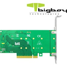 Bigboy BTC-M2G4X2SN Pcıe 4.0 X4 Pcıe 4.0 X8 2xm.2 1xnvme 1xsata Dönüştürücü Adaptör