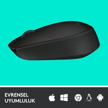 B170 Optik USB Alıcılı Kablosuz Mouse, Sağ ve Sol Elle Kullanıma Uygun, 12 Ay Pil Ömrü, Siyah