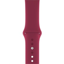 Pazariz Apple Watch Uyumlu 3 4 5 6 7 8 Se Delikli 38 40 41MM Kordon Kayış Bileklik Klasik Silikon