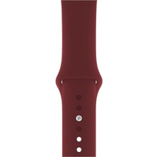 Pazariz Apple Watch Uyumlu 3 4 5 6 7 8 Se Delikli 38 40 41MM Spor Slikon Kordon Kayış Bileklik