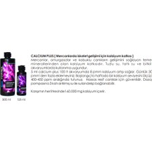 Crystalpro Calcium Plus Kalsiyum Takviyesi 125ml