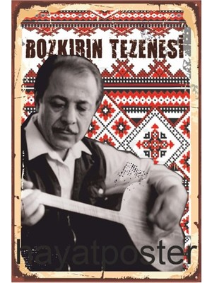 Hayat Poster Neşet Ertaş Retro Ahşap Poster