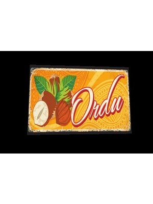 Hayat Poster Ordu Şehir Posterleri Retro Ahşap Poster