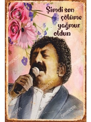 Hayat Poster Müslüm Gürses Şimdi Sen Çölüme Yağmur Oldun Retro Ahşap Poster