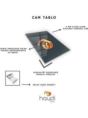 Haydi Dekor Çiçek Kafalı Iş Adamı Minimalist Cam Tablo