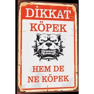Hayat Poster Dikkat Köpek Var Uyarı Levhası Tabela Tarz Retro Ahşap Poster 815