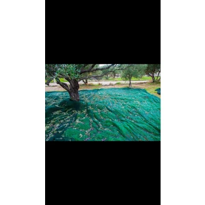 Zeytin Toplama Örtüsü Filesi