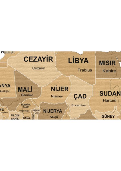 Türkçe Dünya Haritası Kanvas Tablo Ülke Başkent Detaylı ve Dekoratif 2618