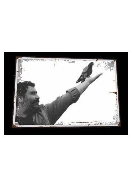 Ahmet Kaya Elinde Güvercin Retro Ahşap Poster 825