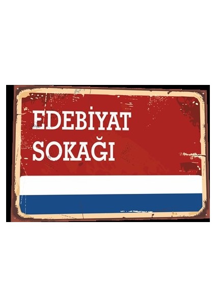 Edebiyat Sokağı Tabela Tarz Retro Ahşap Poster 806