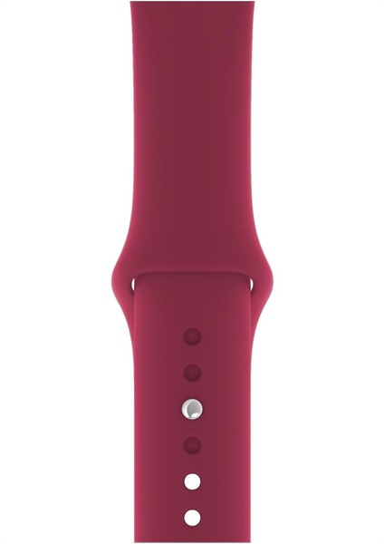 Apple Watch Uyumlu 3 4 5 6 7 8 Se Delikli 38 40 41MM Spor Slikon Kordon Kayış Bileklik