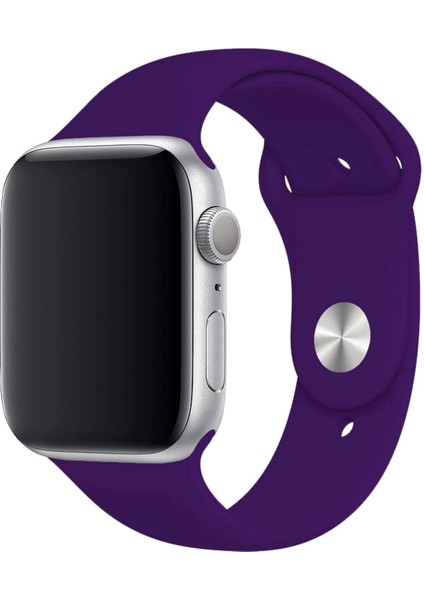 Apple Watch Uyumlu 3 4 5 6 7 8 Se Delikli 38 40 41MM Kordon Kayış Bileklik Klasik Silikon fırsatları