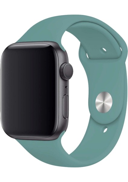 Apple Watch Uyumlu 3 4 5 6 7 8 Se Delikli 38 40 41MM Kordon Kayış Bileklik Klasik Silikon fiyatları