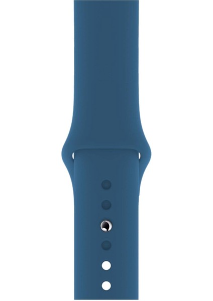 Apple Watch Uyumlu 3 4 5 6 7 8 Se Delikli 38 40 41MM Kordon Kayış Bileklik Klasik Silikon